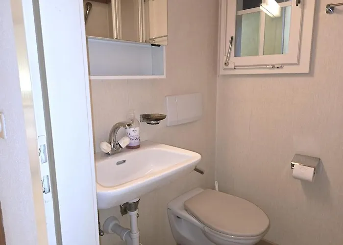 Appartement Heimatkunst 02, Klassisches Walliser Chalet, Teilrenoviert, Zentral